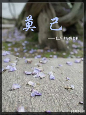 《莫己》 作者：仙人球与猫七爷 txt文件大小：1.42 MB