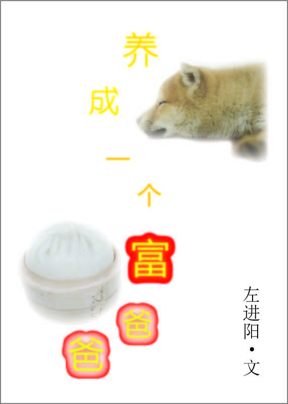 《养成一个富爸爸》 作者：左进阳 txt文件大小：311.72 KB