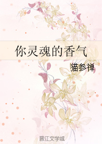 《你灵魂的香气》 作者：猫参禅 txt文件大小：253.51 KB
