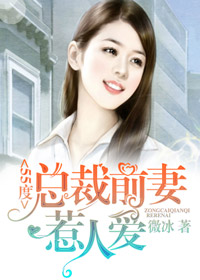《55度：总裁前妻惹人爱》 作者：微冰 txt文件大小：1.32 MB