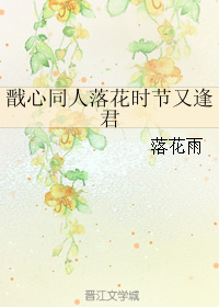 《（戬心同人）戬心同人落花时节又逢君》 作者：落花雨 txt文件大小：268.89 KB
