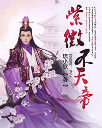 《紫微不天帝》 作者：琉小歌 txt文件大小：340.56 KB