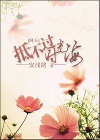 《（网王同人）网王-抵不过时光海》 作者：顾南徽 txt文件大小：243.19 KB