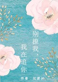 《我在你隔壁-别撩我,我在追你》 作者：麦耶/知更树 txt文件大小：219.27 KB