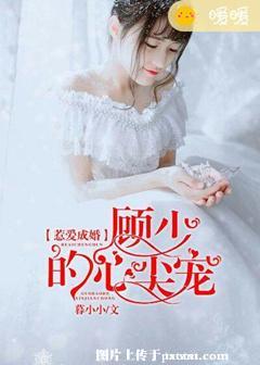 《惹爱成婚：顾少的心尖宠》 作者：暮小小 txt文件大小：493.6 KB