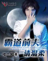 《霸道前夫，请温柔》 作者：楼兰茉 txt文件大小：329.4 KB