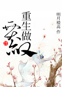 《重生做贾赦》 作者：明月楼高 txt文件大小：77.79 KB