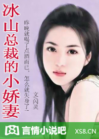 《冰山总裁的小娇妻》 作者：闪灵 txt文件大小：529.95 KB