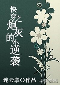 《快穿之炮灰的小逆袭》 作者：连云掌 txt文件大小：715.57 KB
