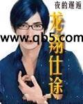 《龙翔仕途》 作者：夜的邂逅 txt文件大小：2.65 MB