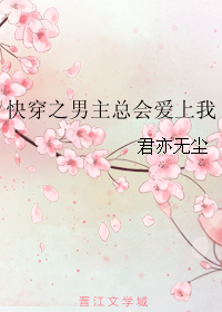 《快穿之男主总会爱上我》 作者：君亦无尘 txt文件大小：593.52 KB
