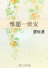 《（琅琊榜同人）惟愿一世安》 作者：碧晗潇 txt文件大小：123.04 KB