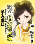 《羊入虎口：这个相公有点坏》 作者：高山舞者 txt文件大小：1.61 MB