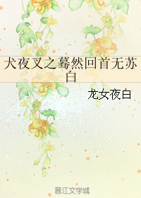 《（夜叉同人）犬夜叉之蓦然回首无苏白》 作者：龙女夜白 txt文件大小：306.64 KB