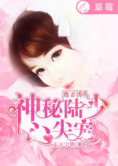 《逃妻诱人：神秘陆少心尖宠》 作者：东方宁玥 txt文件大小：826.42 KB