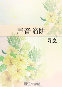 《声音陷阱》 作者：寻念 txt文件大小：251.55 KB