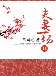 《夫妻一场2》 作者：草莓 txt文件大小：538.4 KB