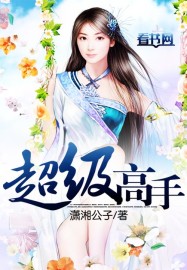 《超级高手》 作者：潇湘公子 txt文件大小：3.53 MB