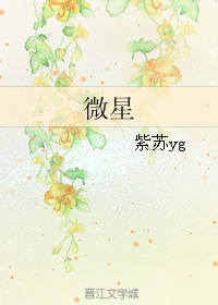 《微星》 作者：紫苏yg txt文件大小：253.74 KB