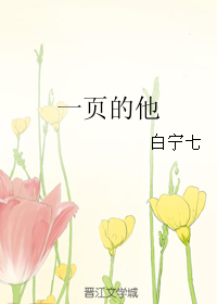 《一页的他》 作者：白宁七 txt文件大小：385.69 KB