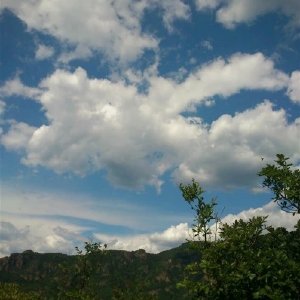 《云淡风轻过》 作者：暖佑萱 txt文件大小：375.22 KB