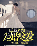 《首席来袭：先婚晚爱》 作者：九月很温暖 txt文件大小：619.11 KB