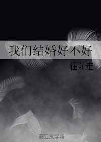 《我们结婚好不好》 作者：往前走 txt文件大小：201.49 KB