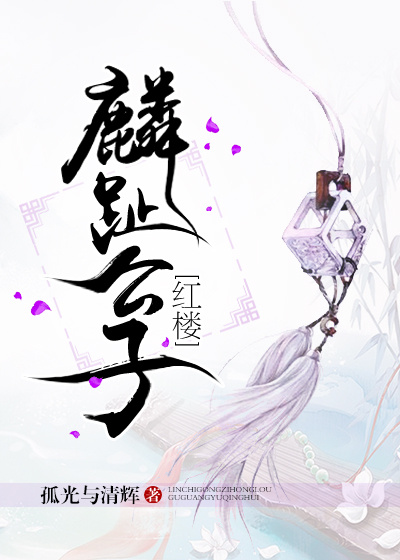 《（红楼同人）麟趾公子[红楼]》 作者：孤光与清辉 txt文件大小：1000.6 KB