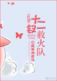 《（红楼同人）[红楼]十二钗救火队》 作者：酸笋鸡皮汤 txt文件大小：176.86 KB