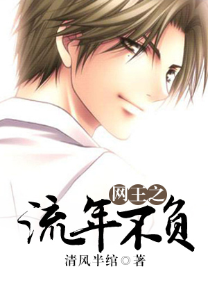 《（网王同人）网王之流年不负》 作者：清风半绾 txt文件大小：65.82 KB
