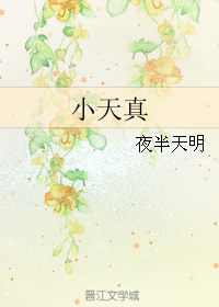 《（红楼同人）小天真》 作者：夜半天明 txt文件大小：775.35 KB