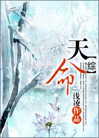 《(综同人)综 天命》 作者:浅凌 txt文件大小:619.11 KB