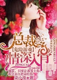 《危险游戏，总裁情深入骨》 作者：柒小夜 txt文件大小：785.97 KB