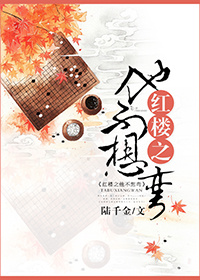 《（红楼同人）红楼之他不想弯》 作者：陆千金 txt文件大小：1.17 MB