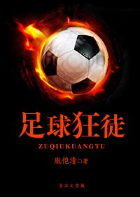 《（足坛同人）足球狂徒》 作者：胤恺清 txt文件大小：1.27 MB