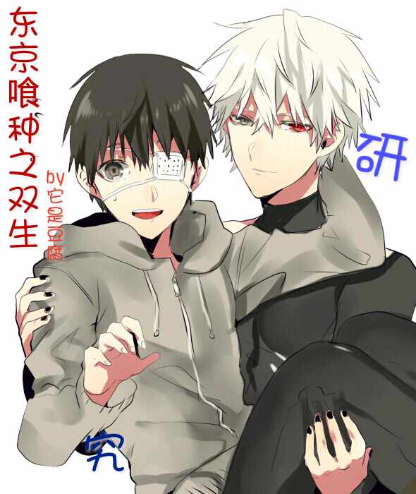 《（东京喰种同人）东京喰种之双生》 作者：它是豆腐 txt文件大小：103.5 KB