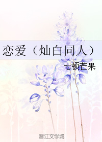 《（韩娱同人）恋爱（灿白同人）》 作者：七顿芒果 txt文件大小：44.39 KB