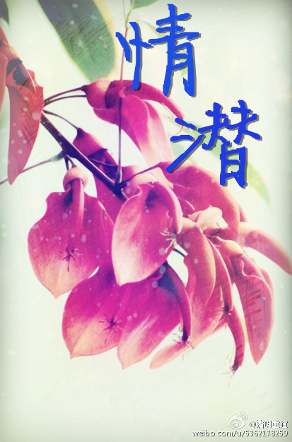 《情潜》 作者：清明重暄 txt文件大小：135.94 KB