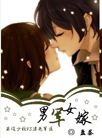 《男军女嫁》 作者：盏茶 txt文件大小：441.62 KB