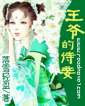 《王爷的侍妾》 作者：落雪轻盈 txt文件大小：1.1 MB