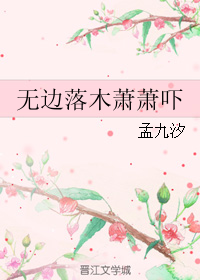 《无边落木萧萧吓》 作者：孟九汐 txt文件大小：274.38 KB