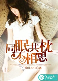 《同眠共枕不相思》 作者：开心狗儿2013 txt文件大小：1.16 MB