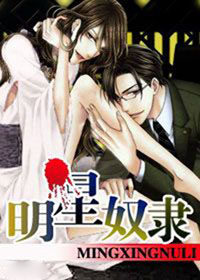 《明星奴隶》 作者：夭宴 txt文件大小：337.95 KB