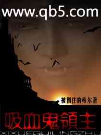 《吸血鬼领主》 作者：被留住的希尔 txt文件大小：2.23 MB