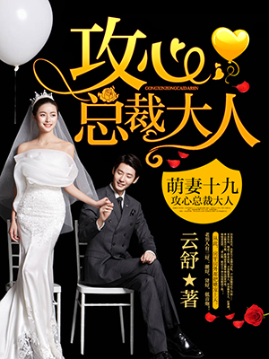 《萌妻十九：攻心总裁大人》 作者：云舒 txt文件大小：582.69 KB
