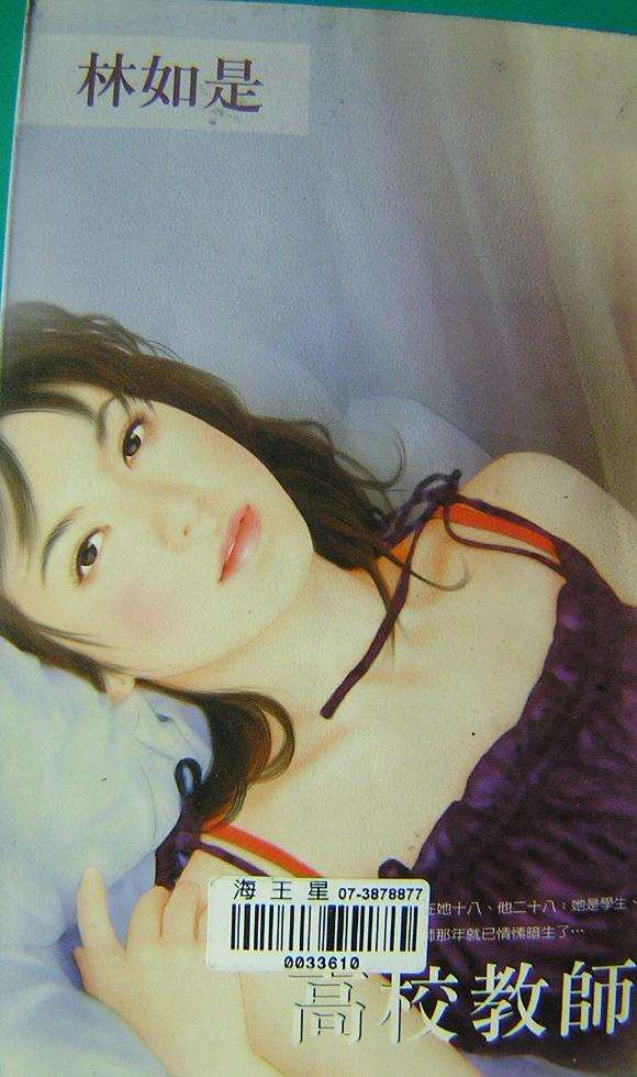 《高校教师》 作者：林如是 txt文件大小：179.38 KB