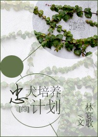 《（综同人）[综]忠犬培养计划》 作者： txt文件大小：379.57 KB