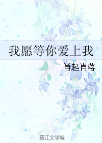 《我愿等你爱上我》 作者：肖起肖落 txt文件大小：371.2 KB
