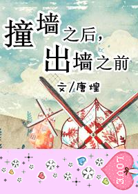 《撞墙之后，出墙之前》 作者：唐煌 txt文件大小：337.64 KB