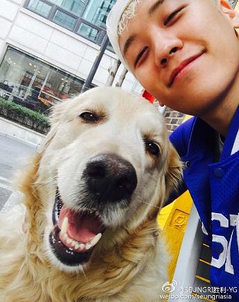 《（韩娱同人）韩娱胜利你不知道的事》 作者：肖贝恩 txt文件大小：153.51 KB